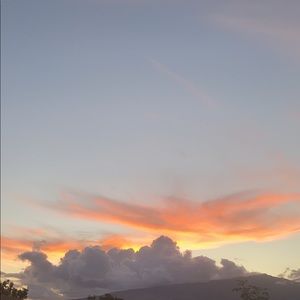 Meet your Posher, Ari